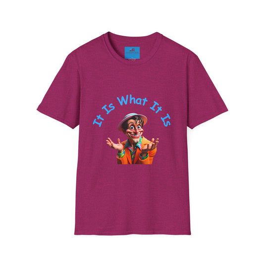 It Is What It Is Unisex Softstyle T-Shirt